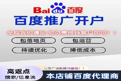 百度竞价策略解析：案例分析及优化建议